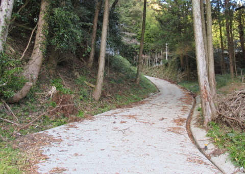 福岡県田川郡 金辺峠 再訪 試撃行